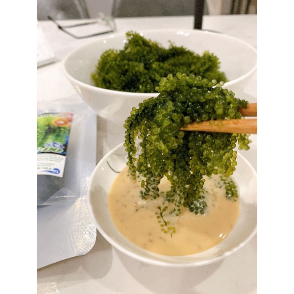 SIÊU RẺ [100g NỞ RA 300g] Rong Nho Tách Nước KHÁNH HÒA - NHA TRANG (MAMEIDO) - Giàu Dinh Dưỡng - Đẹp Da - Tăng Đề Kháng