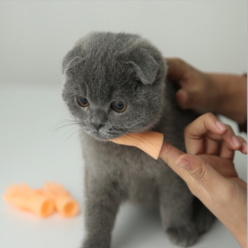Đồ chơi bàn tay mini đeo ngón tay massage chơi đùa cùng chó mèo cưng