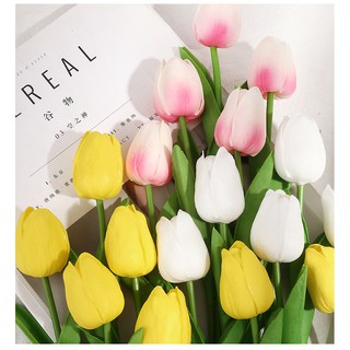 Hoa tulip,phụ kiện chụp hình