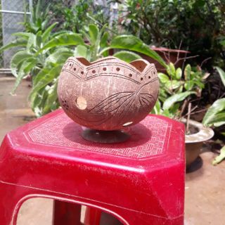 Chậu Gáo Dừa miệng kiểu có đế