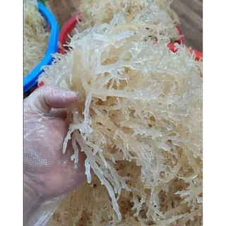Rong sụn khô