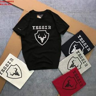 Áo thun cổ tròn
