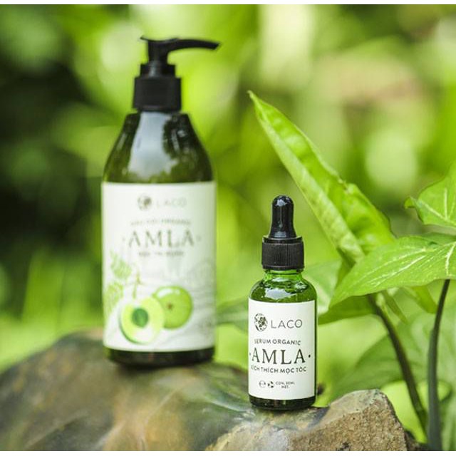 Bộ Ba Sản Phẩm Dầu Gội-Dẩu Xả-Serum Amla Laco Kích Mọc Ngăn Rụng Tóc Chính Hãng | BigBuy360 - bigbuy360.vn