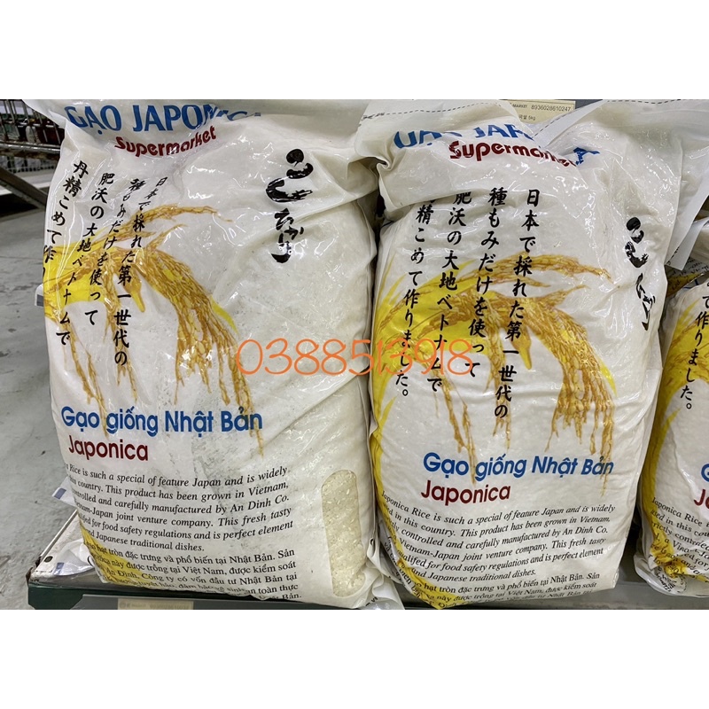 Gạo Nhật Japonica gói lớn 5kg làm kimbab