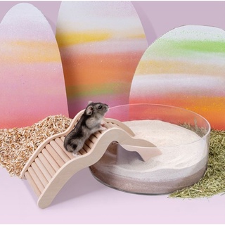 [Niteangle] 🐹Cầu thang gỗ lượn sóng cho hamster🐹