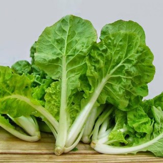 10g Hạt giống Cải dún (cải nhún)