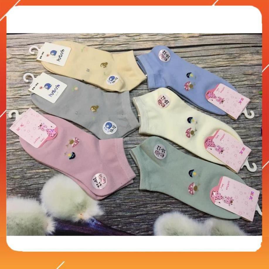 Miễn Phí Ship - Cotton baby_Tất chân thời trang dành cho bé gái từ 10 đến 12 tuổi