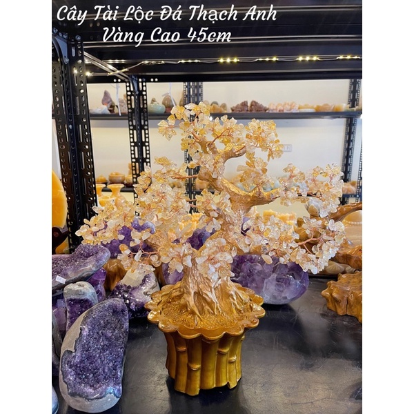 Cây Đá Tài Lộc Nhiều Màu Sắc Phong Thuỷ