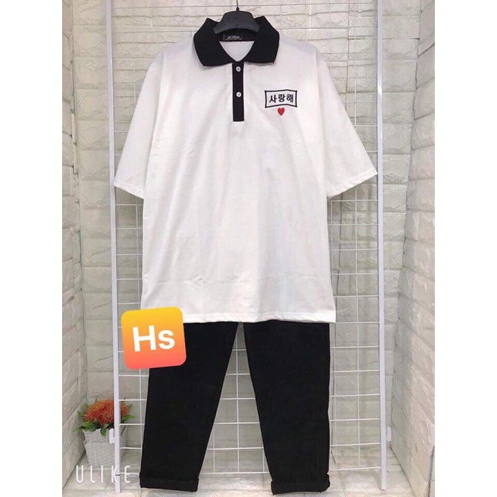 Áo polo cổ bẻ chữ hàn LOIX mã 985