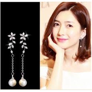 Bông tại bạc nhành hoa đẹp tuyệt vời
