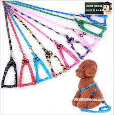 tinhhuongd Dây dắt chó mèo PETI