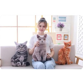 [FREESHIP] Gối 3D hình Mèo_gấu bông, quà tặng