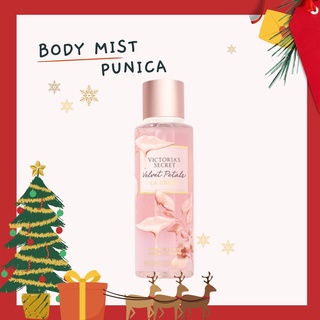 [VELVET PETALS la Crème] Xịt body mist hương nước hoa Victoria Secret 250ml