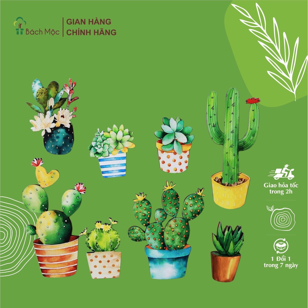 Set Decor Fomex Xương Rồng BÁCH MỘC Dán Tường Trang Trí Nhà Cửa