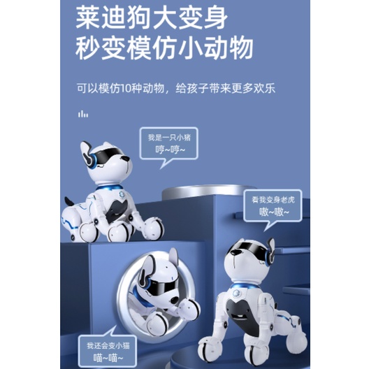 Rô bốt đồ chơi điều khiển từ xa hình chú chó đáng yêu 1355 gift