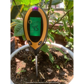 Máy đo ph và nhiệt độ trong đất điện tử màn hình LCD loại tốt 4 trong 1