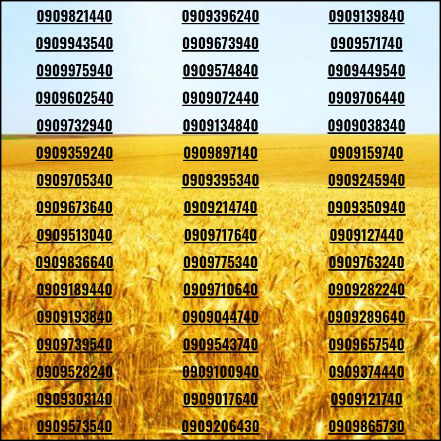 Sim đẹp Số tiến