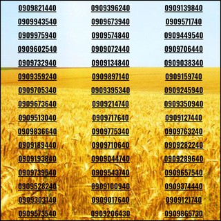 Sim đẹp Số tiến