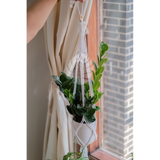 Dây macrame treo chậu cây - Dây bện đẹp và chắc chắn - Kèm móc gỗ để treo - Màu trắng đẹp