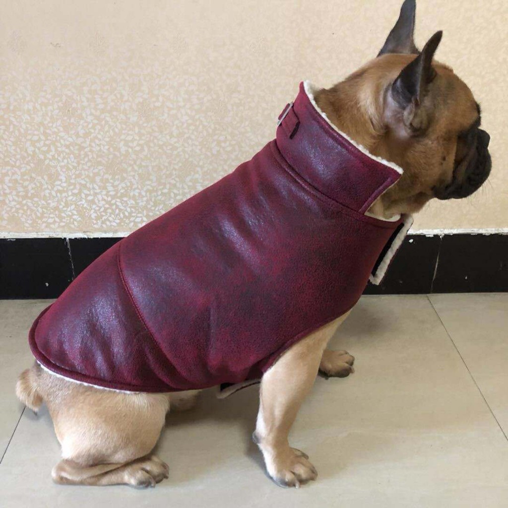 ♙✚❍Quần áo cho thú cưng bulldog hai chân khoác cotton chiến đấu Pháp Pug chó béo ngụy trang gi lê bông