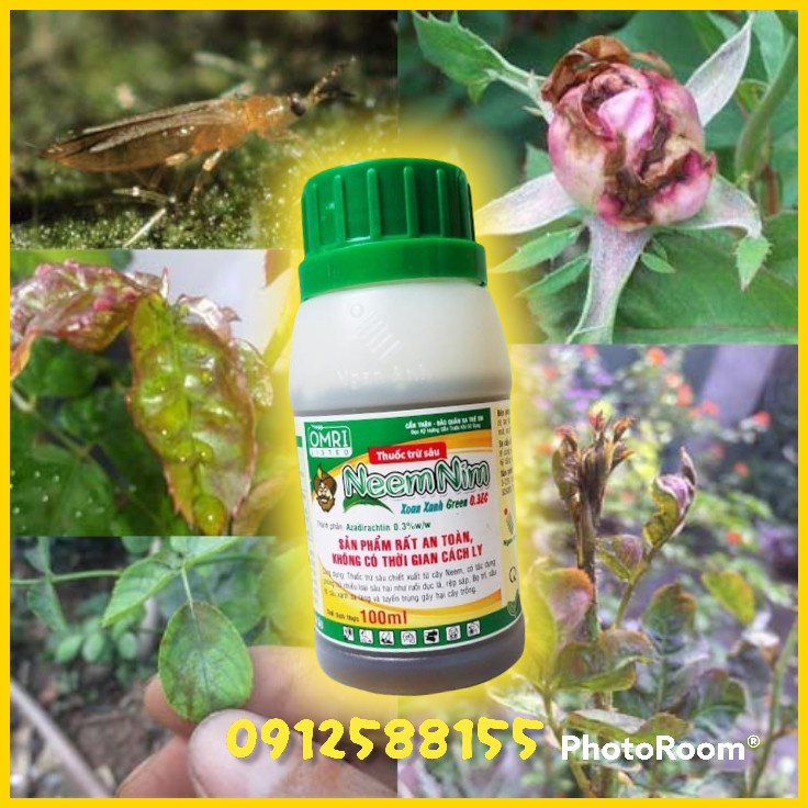 Chai dầu Neem Nim hữu cơ bảo vệ các loại cây trồng (100ml/chai)