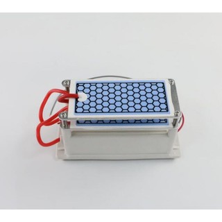 Máy tạo Ozone 10G