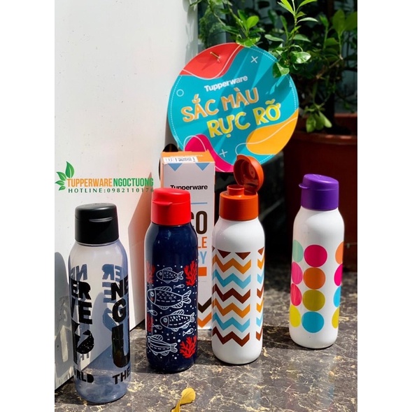 Bình nước eco bottle fancy 750ml