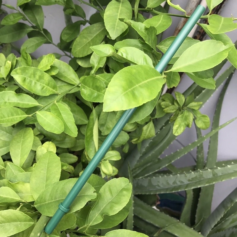 ỐNG HÚT NHỰA CỨNG-STARBUCKS-HÀNG CHÍNH HÃNG