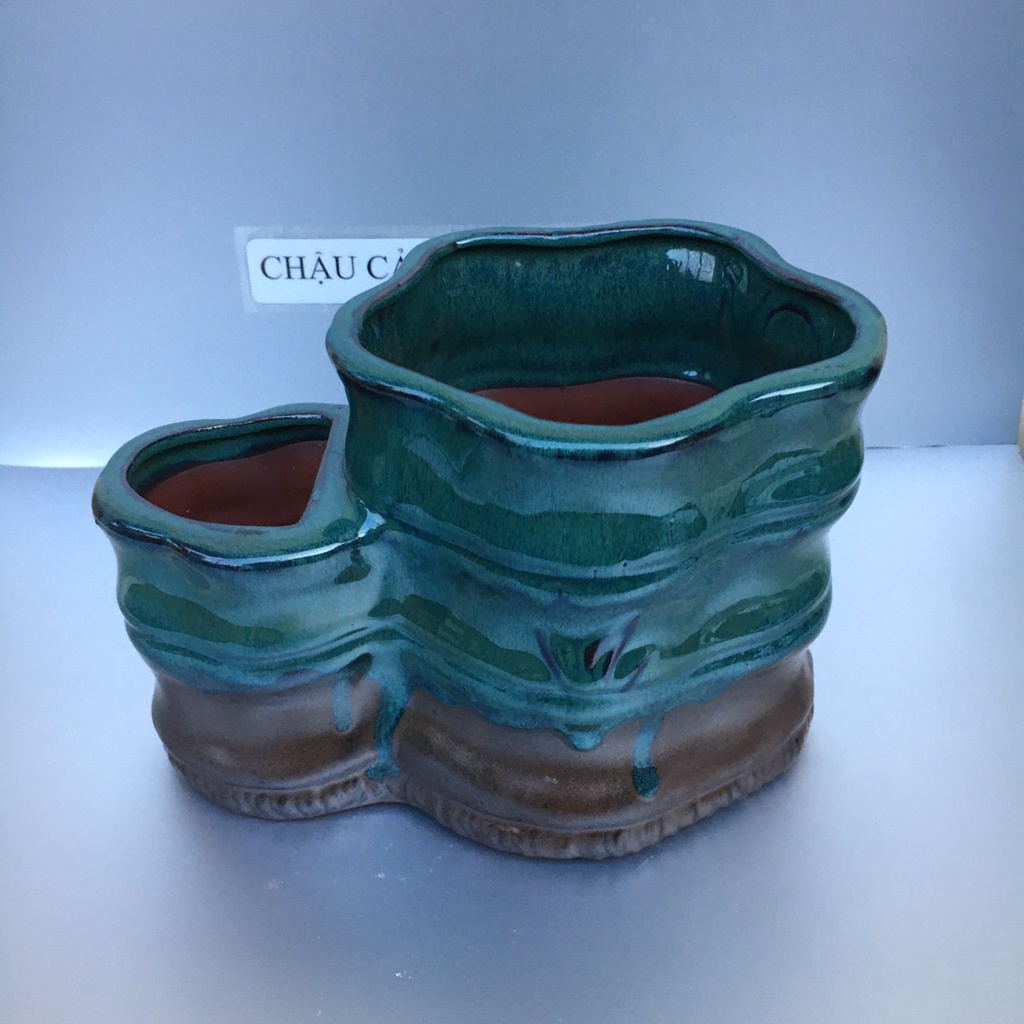 Chậu Gốc tre bonsai sen đá mini màu Xanh ngọc gốm Bát tràng 1 size SP378