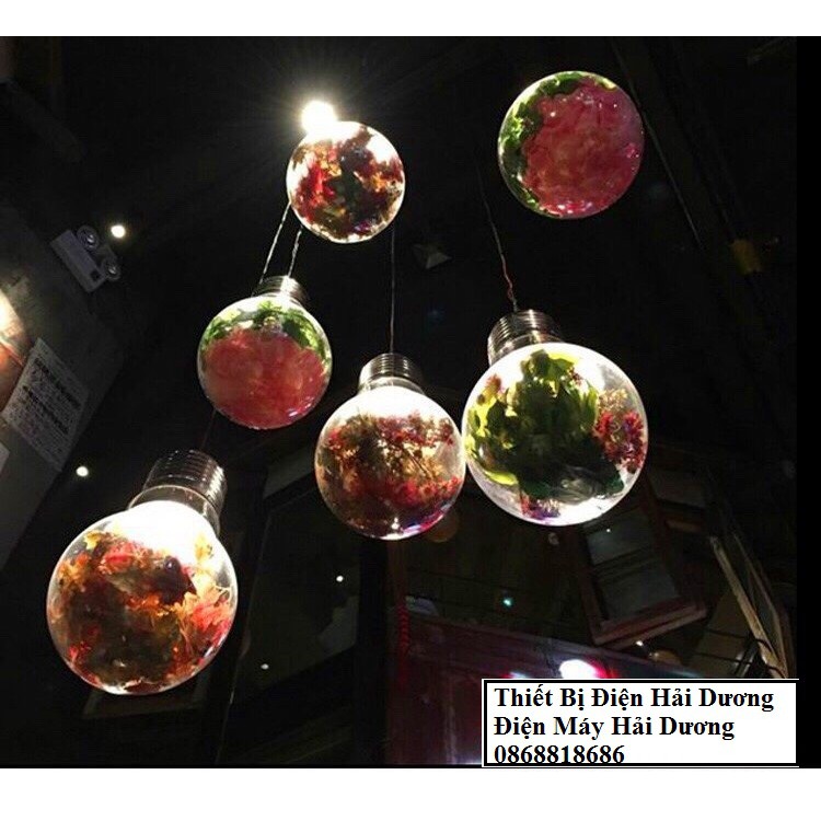 Đèn thả trang trí hình bóng led TN559 (kèm cây xanh) - Đường kính 300mm - Bảo hành 12 tháng