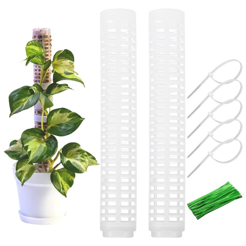 Set 2 Thanh Nhựa Hỗ Trợ Trồng Cây Cho Đám Cưới