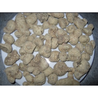 500g củ tam thất nam khô
