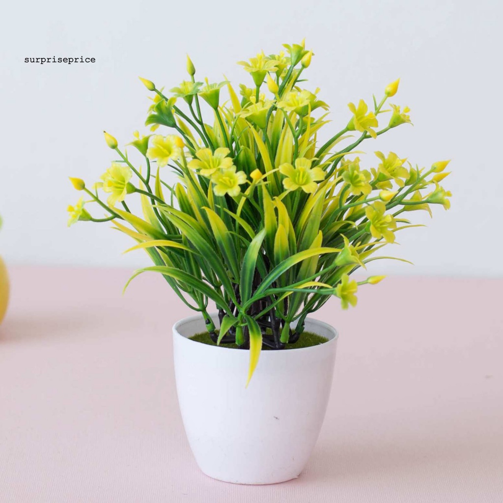 Chậu Cây Nhân Tạo Chống Mòn Dùng Trang Trí Bàn Làm Việc/Khách Sạn