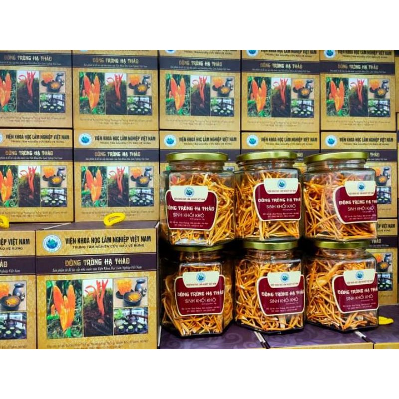 Bột Đông Trùng Hạ Thảo Xay Mịn
