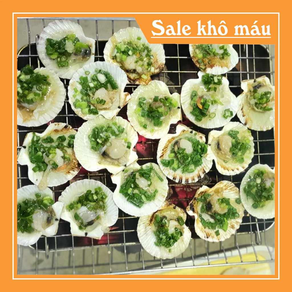 Than không khói cao cấp, không bụi nguyên liệu tự nhiên dễ sử dụng, lâu tàn nướng BBQ trong nhà và ngoài trời.