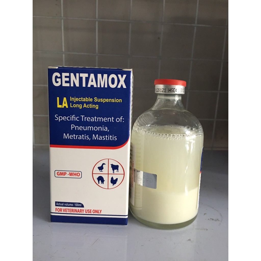 Viêm phổi, thở giật bụng, viêm ở vật nuôi Gentamox Inco (100ml)