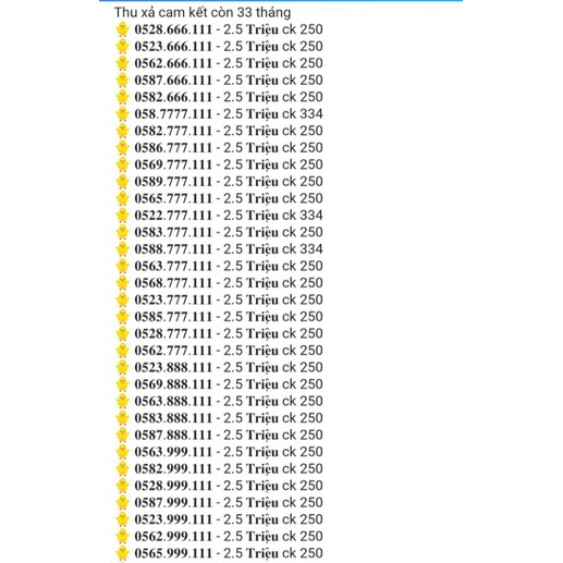 Sim số đẹp mạng Việt Nam mobile