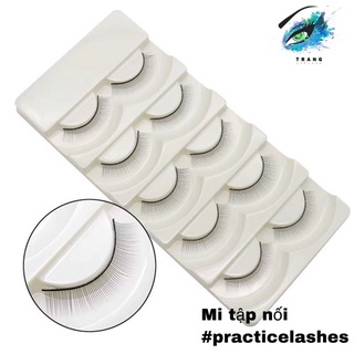 Mi tập nối 5 cặp, mi làm bảng mẫu lông mi
