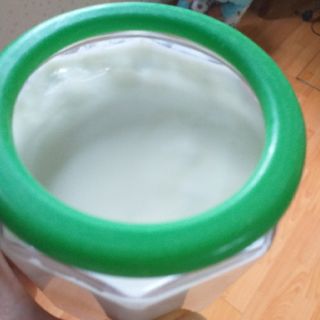 NẤM KEFIR làm sữa chua HY LẠP (NẤM TUYẾT)