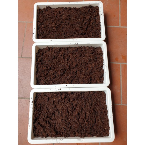 Đất nén dạng viên, Mụn xơ dừa 5kg/viên sạch hữu cơ vi sinh dinh dưỡng cho cây trồng - cây cảnh - rau củ quả 30x30x12cm