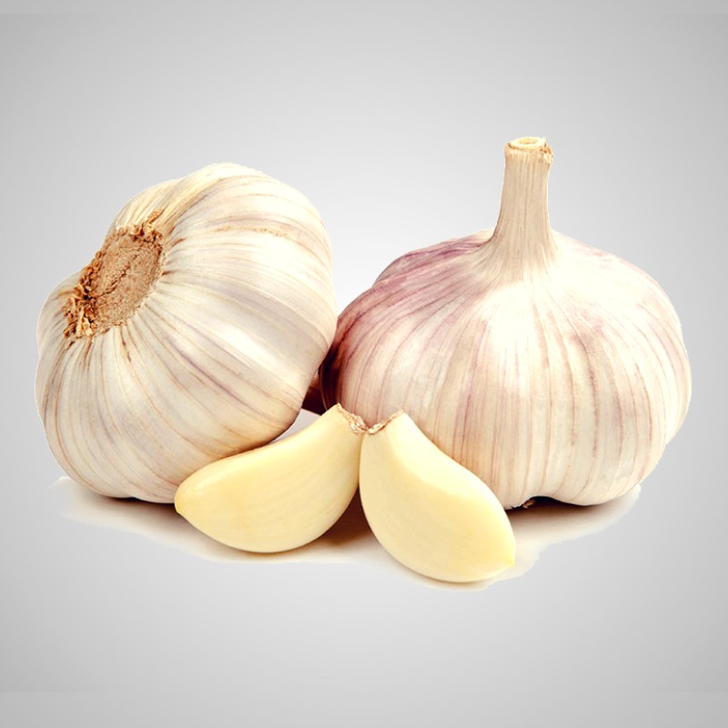 Combo 4 chai dịch trùn quế Eel Q