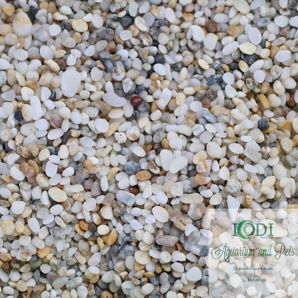 Sỏi 3 màu trang trí bể cá