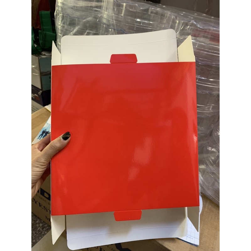 10 HỘP XẾP HOA MAI 100g YẾN TINH
