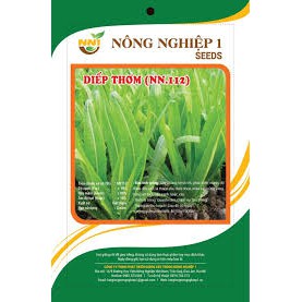 Hạt giống rau diếp thơm 10gr