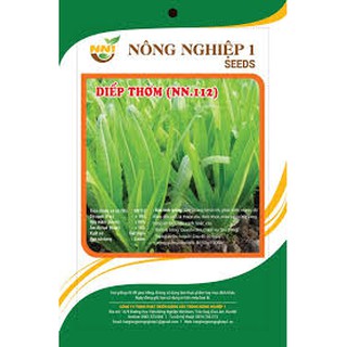 Hạt giống rau diếp thơm