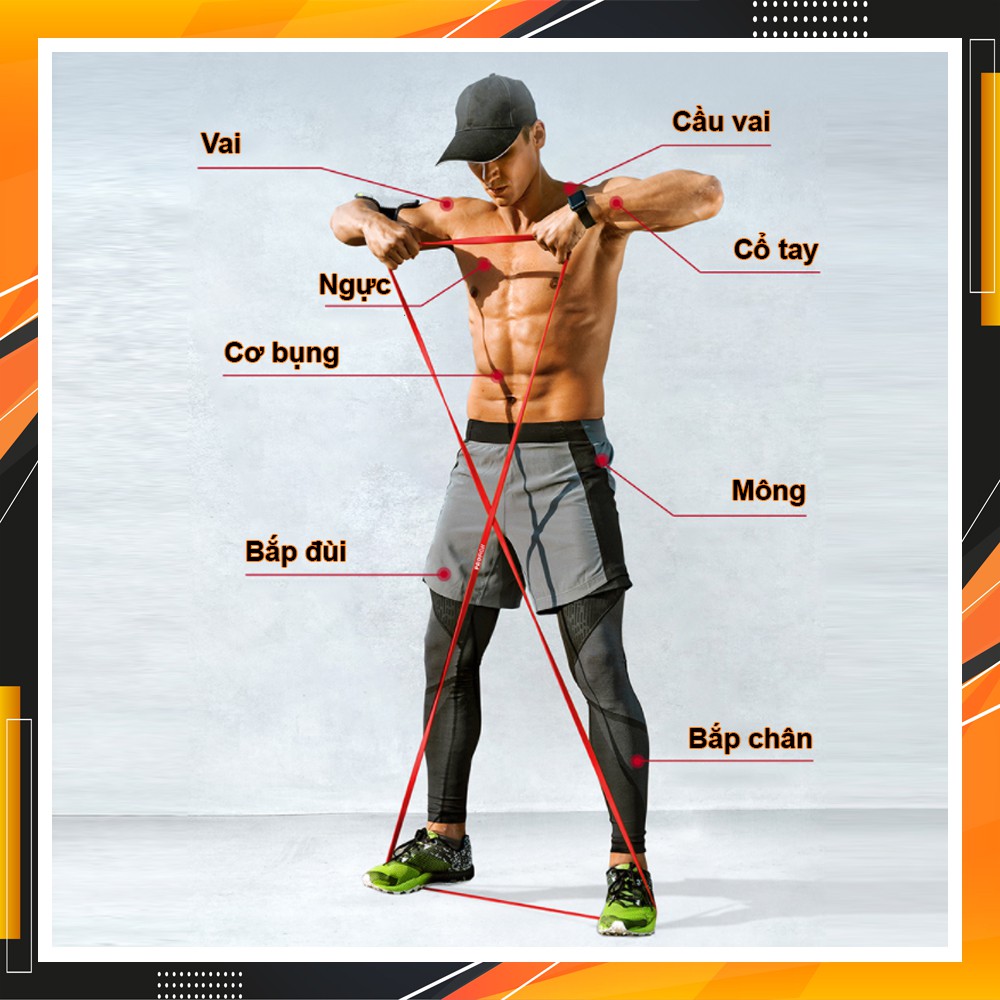 Dây kháng lực tập gym, Power Band đa năng, hỗ trợ luyện tập thể dục, tiện lợi tại nhà, văn phòng Chính Hãng Eros Store