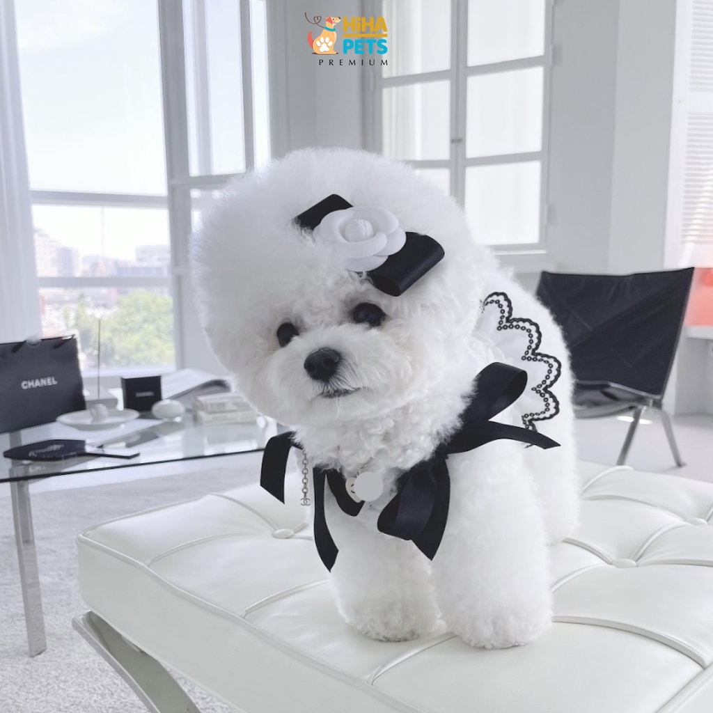 Quần Áo Cho Chó Mèo Hàn Quốc Quần Áo Thú Cưng Thời Trang Premium Hiha Pets.