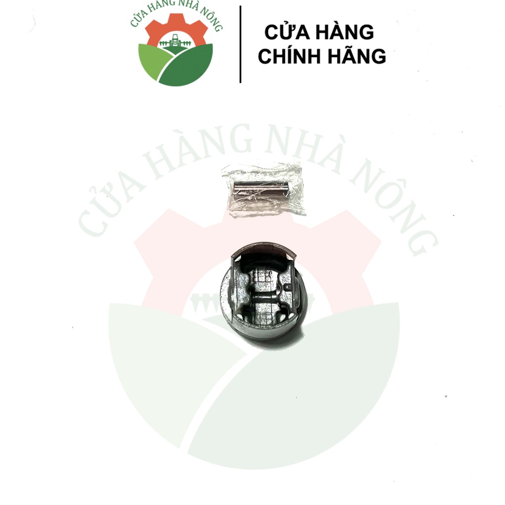 Bộ Piston bạc ắc máy cưa AIP 170 MADE IN INDIA