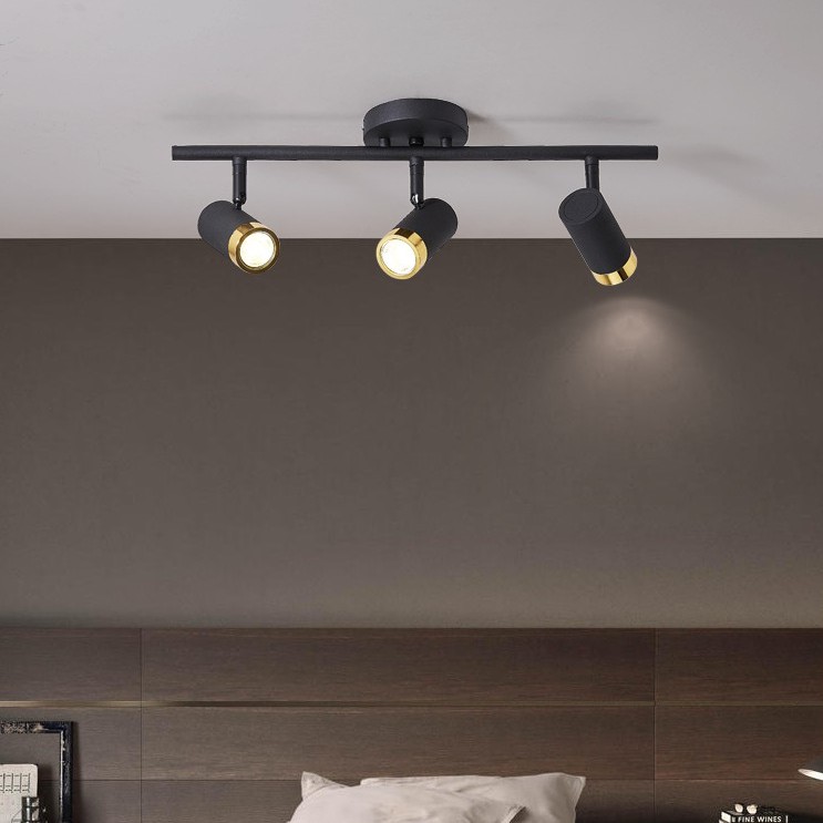 Đèn soi tranh cao cấp trang trí phòng khách, phòng tắm 6028-BK