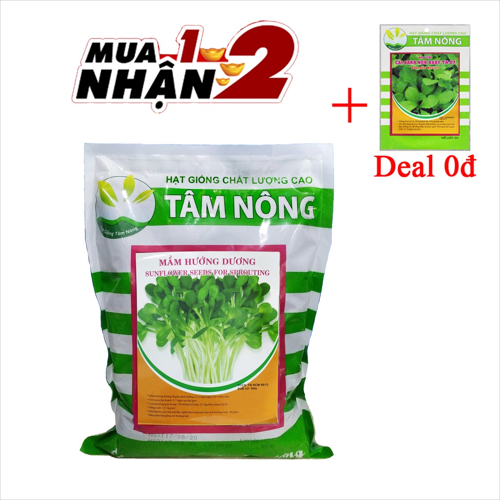 Hạt Giống Rau Mầm Hướng Dương Dễ Trồng, Rau Sạch, Giàu Vitamin, Đẹp Da, Tốt Cho Tim Mạch